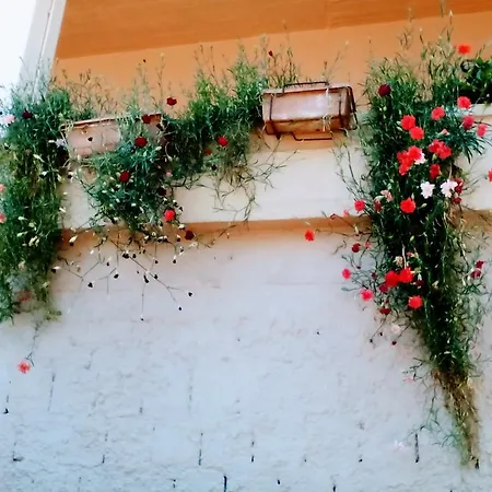 Nikolas Apartman Káto Daráco